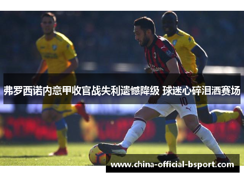 弗罗西诺内意甲收官战失利遗憾降级 球迷心碎泪洒赛场 弗罗西诺内意甲收官战失利遗憾降级 球迷心碎泪洒赛场
